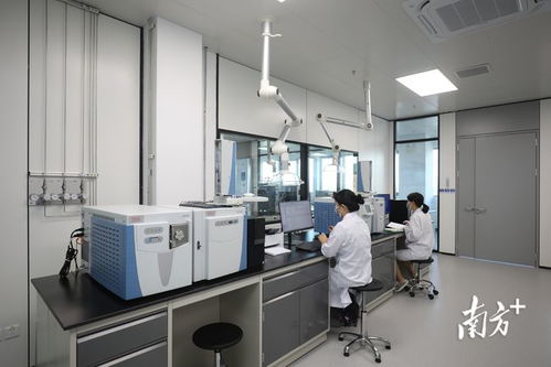 金灣生物醫(yī)藥產(chǎn)業(yè)研究院試運(yùn)營(yíng) 打造全鏈條新藥研發(fā)服務(wù)新引擎