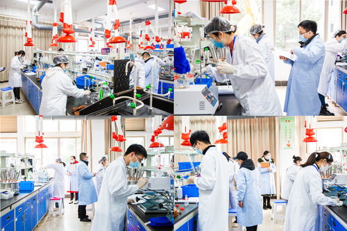 2022年省職業(yè)院校技能大賽高職生物與化工類化學(xué)實(shí)驗(yàn)技術(shù)項(xiàng)目在我校圓滿舉行，聚焦生物化工產(chǎn)品技術(shù)研發(fā)