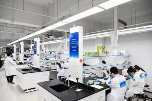 2023年寶山區(qū)生物醫(yī)藥職業(yè)技能競賽個(gè)人決賽 聚焦生物化工產(chǎn)品技術(shù)研發(fā)，激發(fā)行業(yè)創(chuàng)新活力