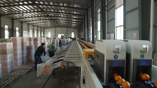 菜鳥物流科技下鄉(xiāng)，助力尋烏農(nóng)產(chǎn)品進(jìn)城與快遞進(jìn)村，自動(dòng)化與生物化工技術(shù)研發(fā)再上新階