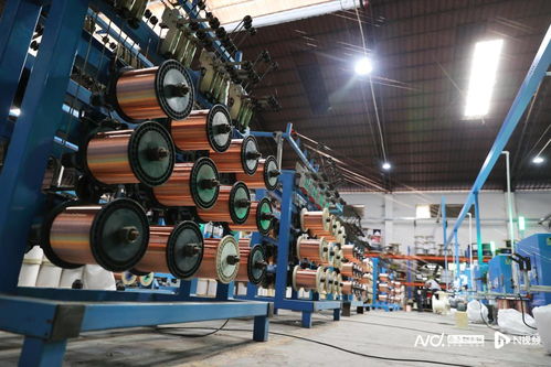 背靠東莞制造，虎門生物化工產(chǎn)品技術(shù)研發(fā)如何跑向全國